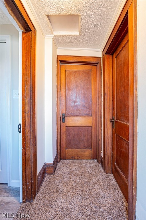 Main Street Heights - Residential