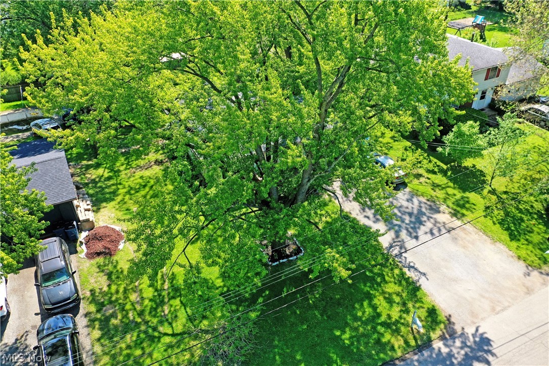 Ravenwood - Residential