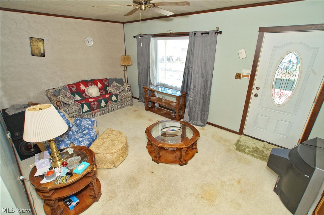 Brooklyn Rdg - Residential