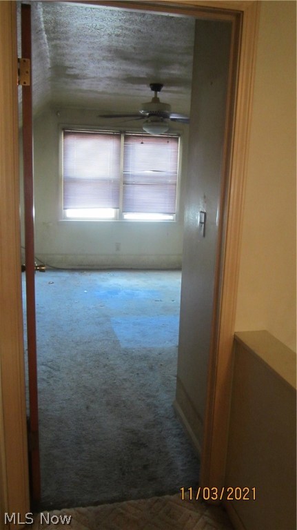 Buena Vista Villas - Residential