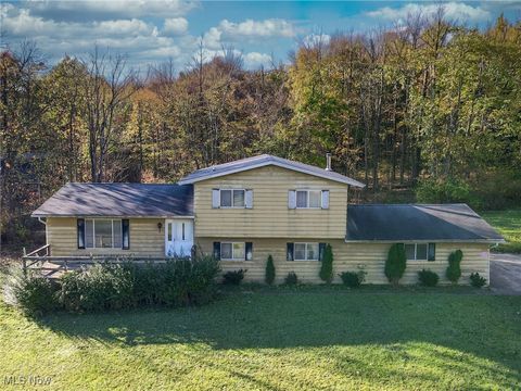 8821 Valley Lane Chagrin Falls OH 44023