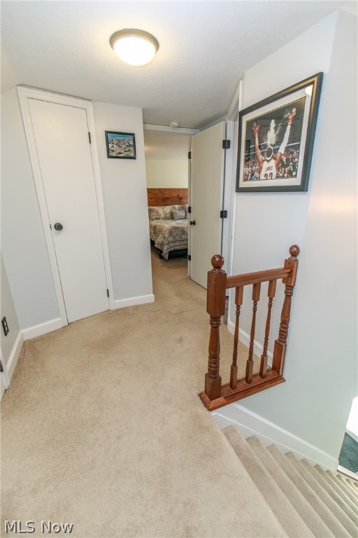 Butternut Heights - Residential