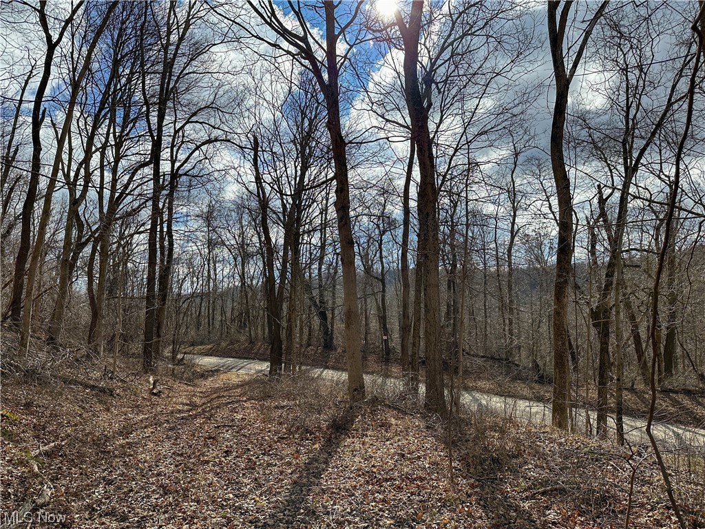 Bruner Miller SD - Land