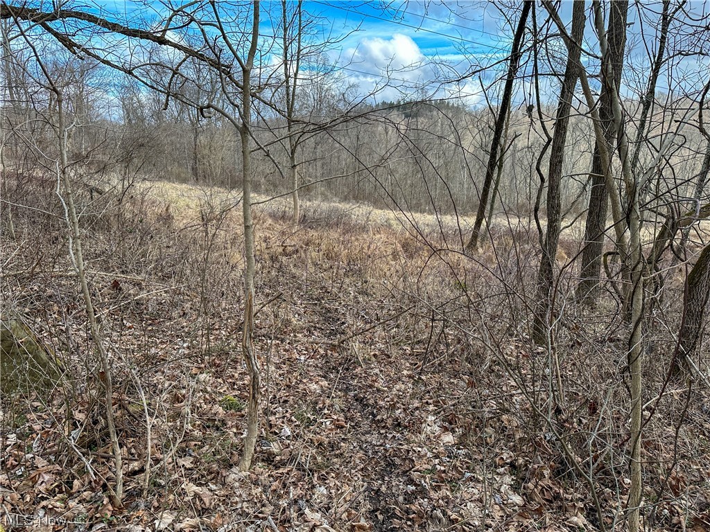 Bruner Miller SD - Land