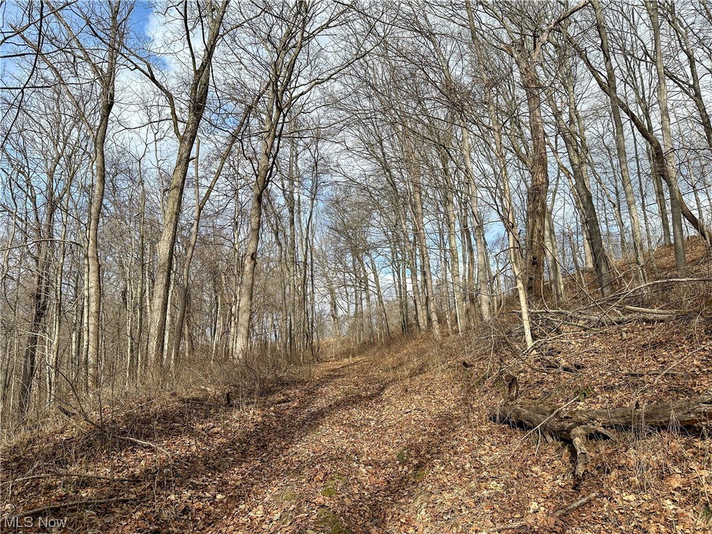 Bruner Miller SD - Land