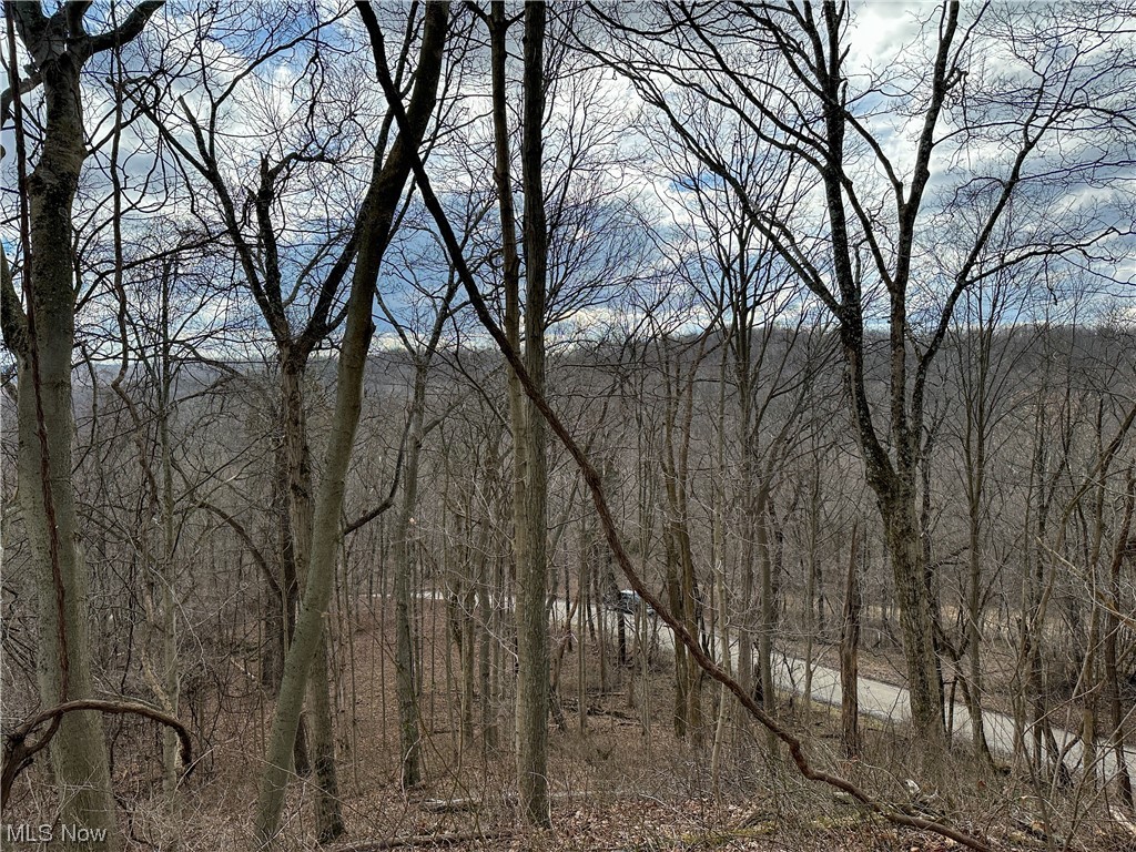 Bruner Miller SD - Land