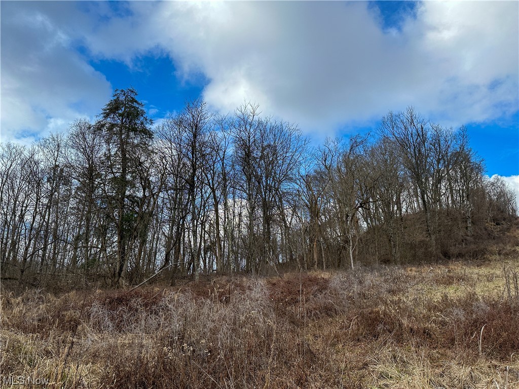 Bruner Miller SD - Land