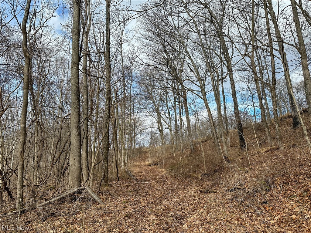 Bruner Miller SD - Land