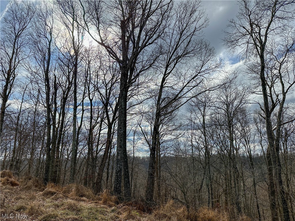 Bruner Miller SD - Land