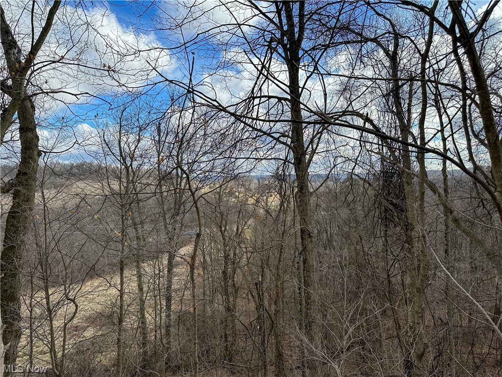 Bruner Miller SD - Land