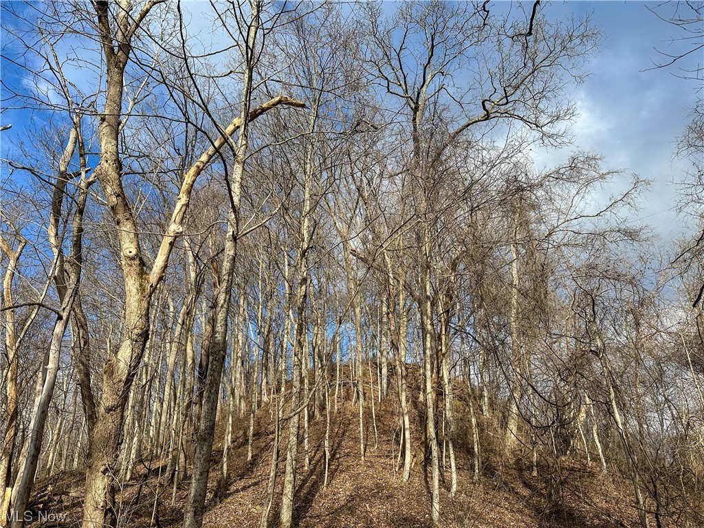 Bruner Miller SD - Land