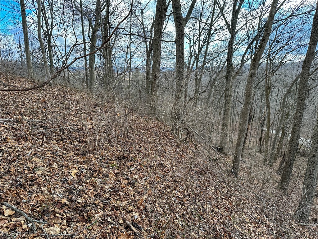 Bruner Miller SD - Land