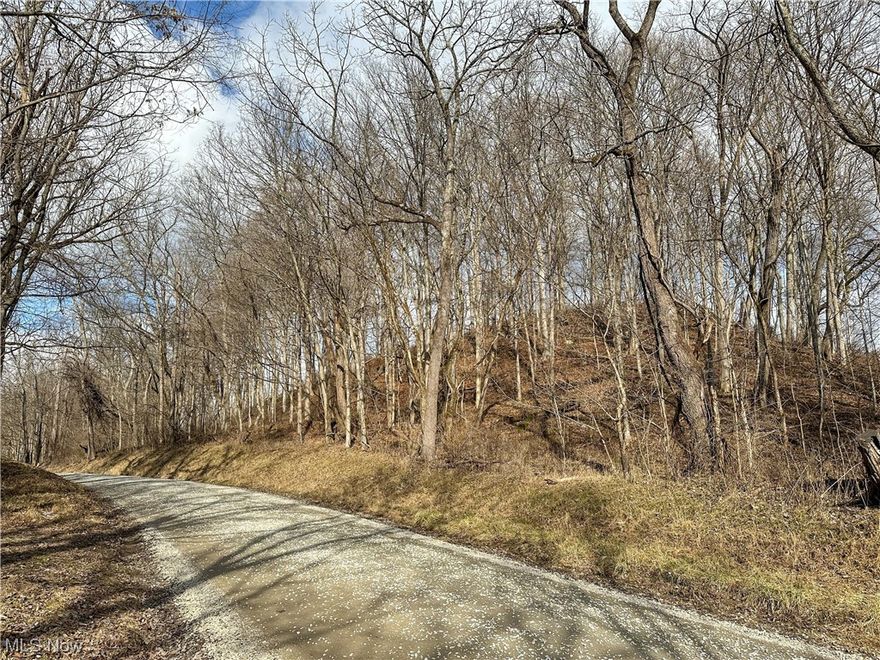 Land for sale in Morgan County, Ohio! This property is ready for your next hunting trip or turn it into a weekend getaway with a cabin. The property features a build site just off the access point that is elevated from the road and Wayne National Forest is just under 1 mile away with ample access from Morganville Rd. This property has rolling to steep topography with two access points. One leads you to a flat build site and one wide switchback takes you to the top of the hill on the property. This property has a power line running across one corner. The clearing is full of deer beds and trails through the tall grass and has a nice, elevated bench overlooking it all. It is prime for a food plot and a blind/stand. This property is two separate 5+ acre parcels being sold together. All mineral rights owned by the seller will be transferred. Annual taxes are approximately 955.75. Call to schedule a showing today!