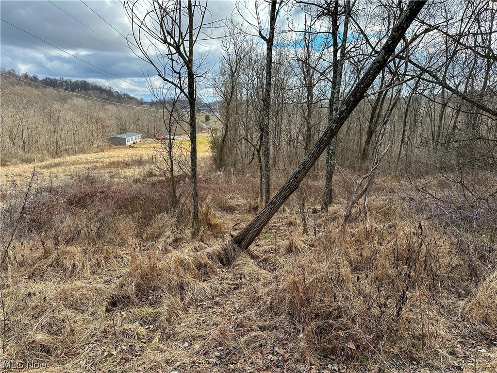 Bruner Miller SD - Land