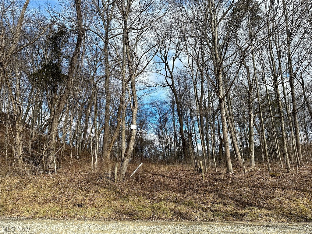 Bruner Miller SD - Land