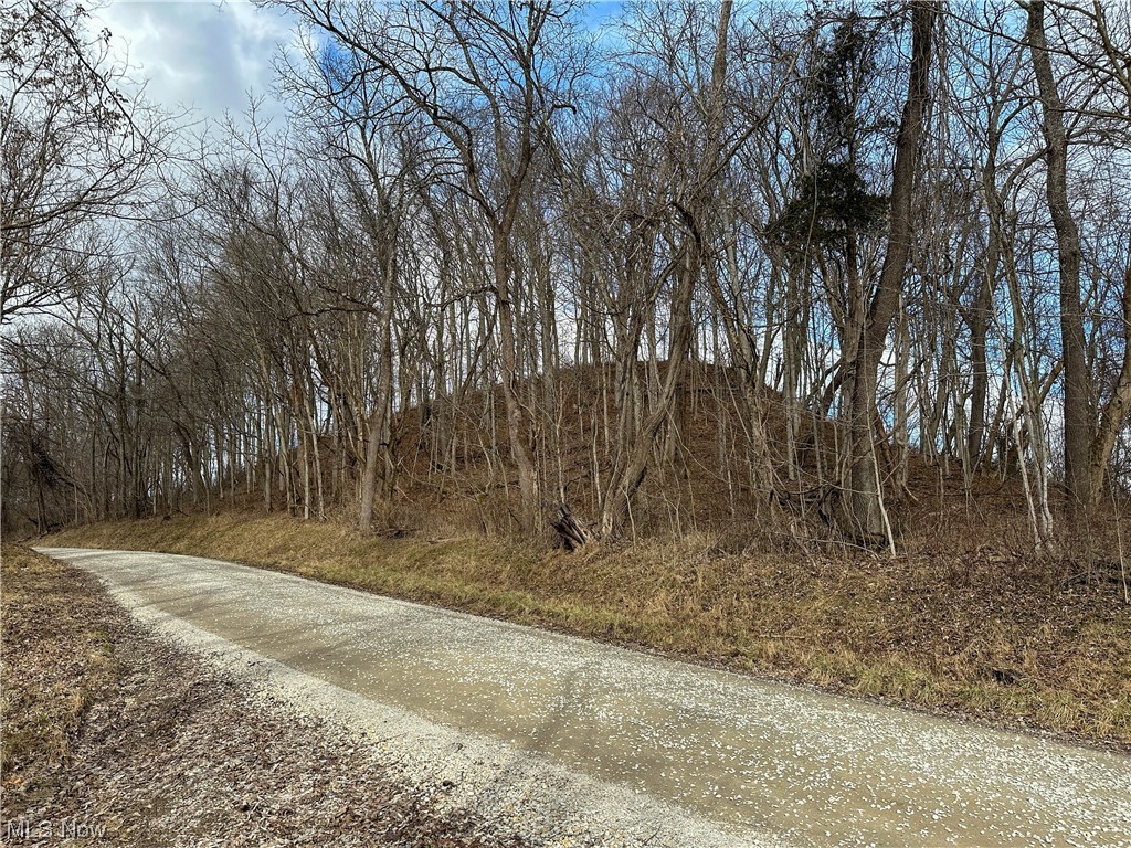 Bruner Miller SD - Land