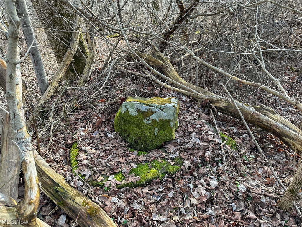 Bruner Miller SD - Land