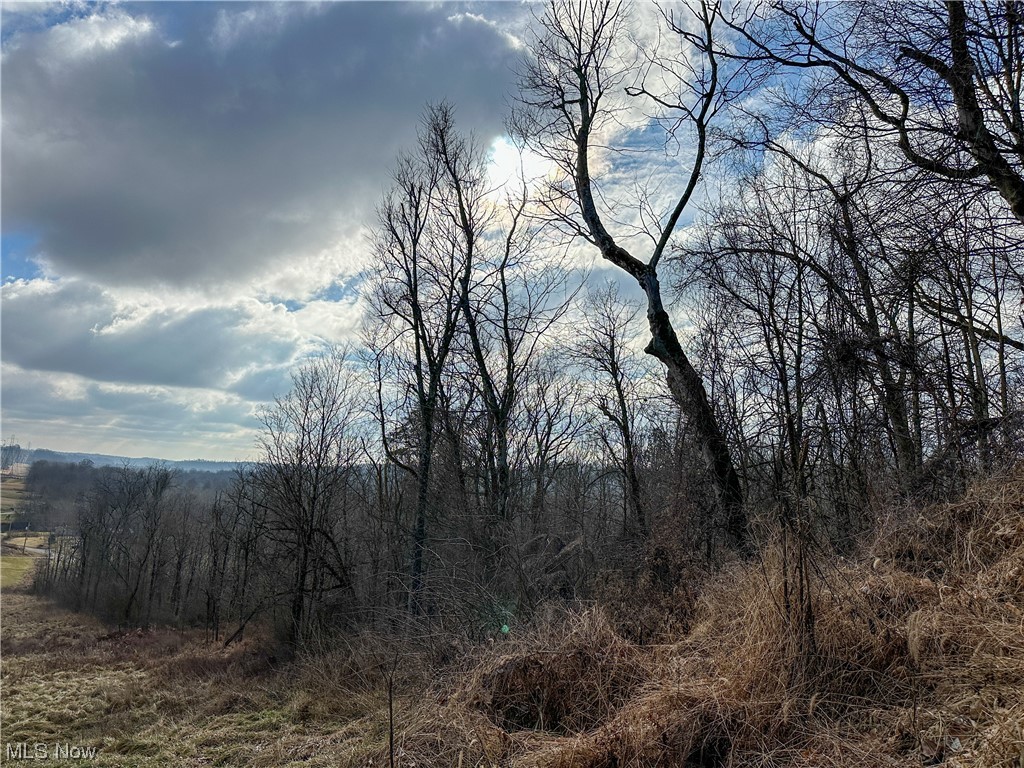 Bruner Miller SD - Land