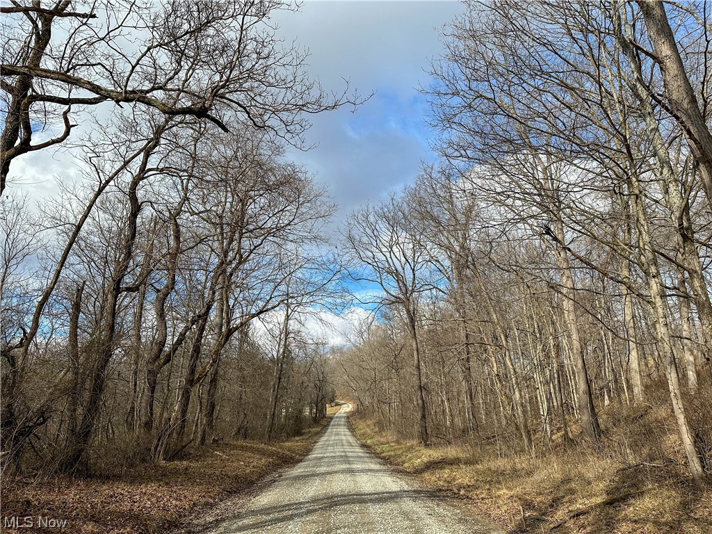 Bruner Miller SD - Land