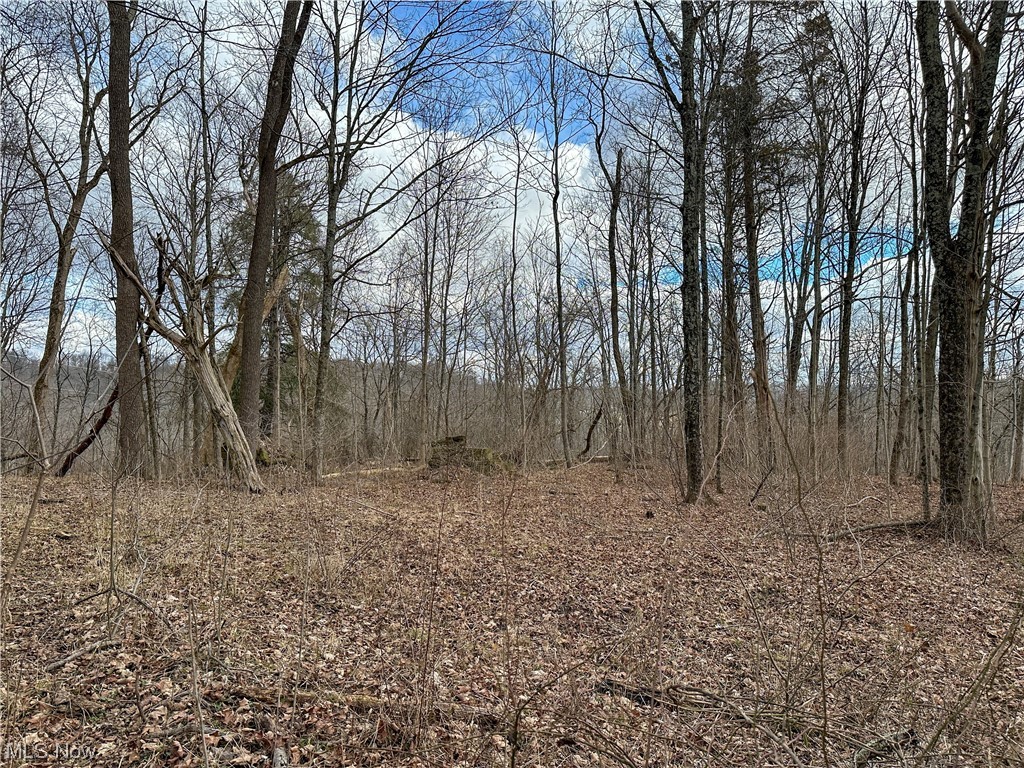 Bruner Miller SD - Land