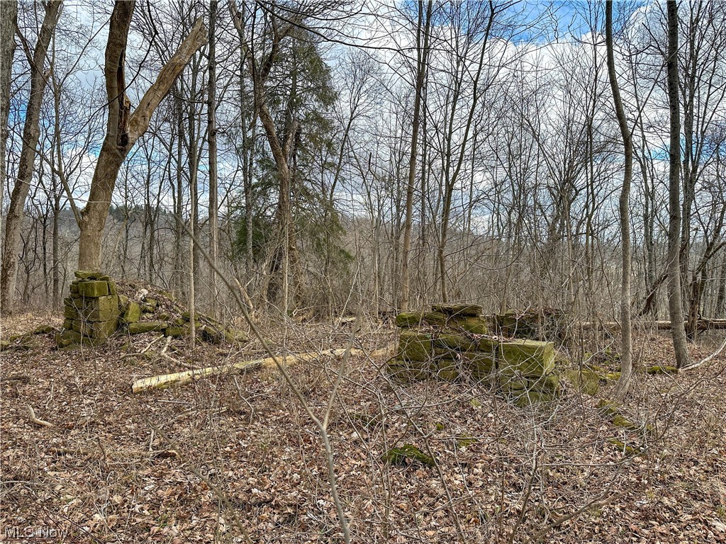 Bruner Miller SD - Land