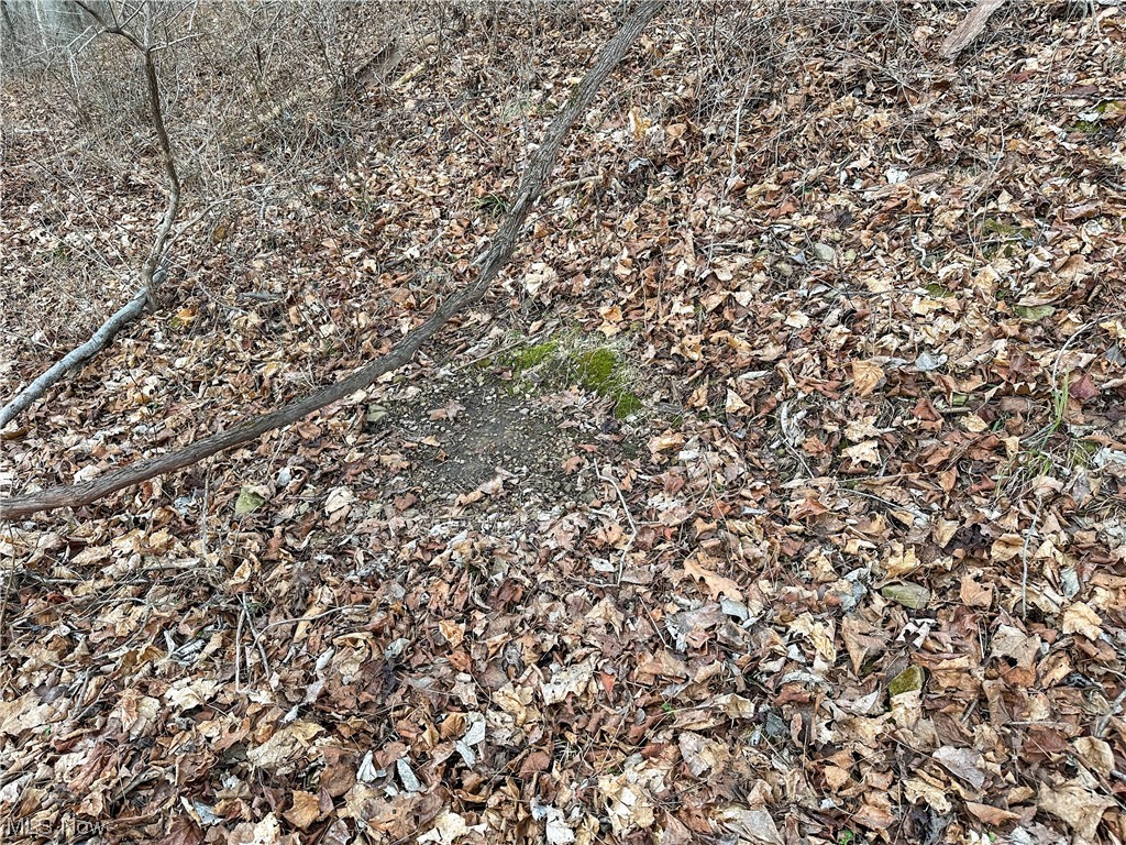 Bruner Miller SD - Land