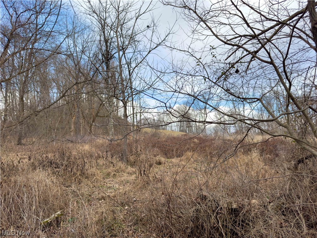 Bruner Miller SD - Land