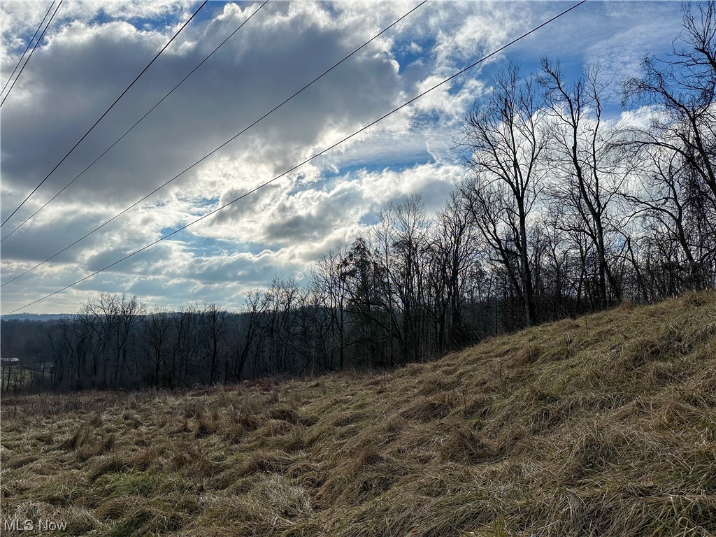 Bruner Miller SD - Land