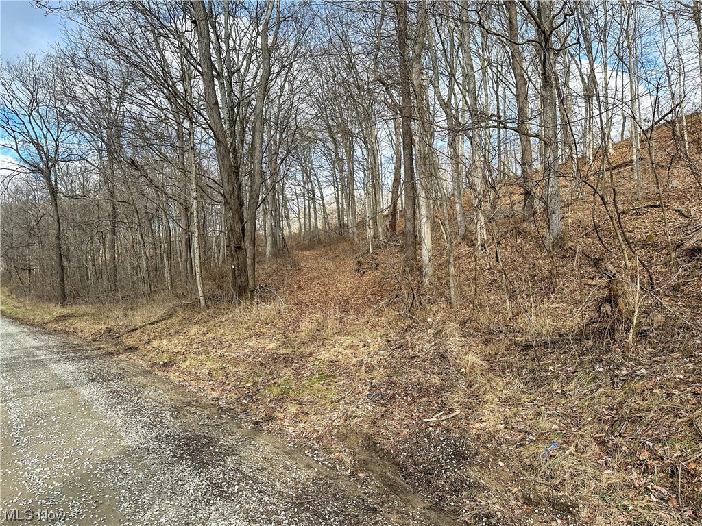 Bruner Miller SD - Land