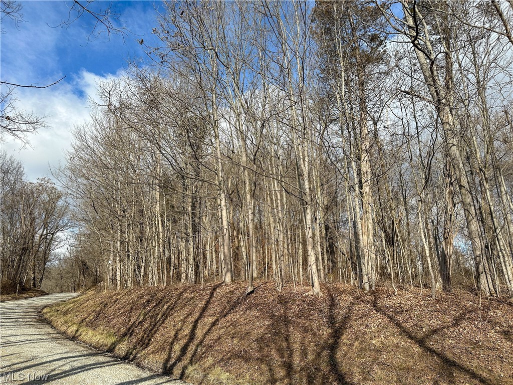 Bruner Miller SD - Land