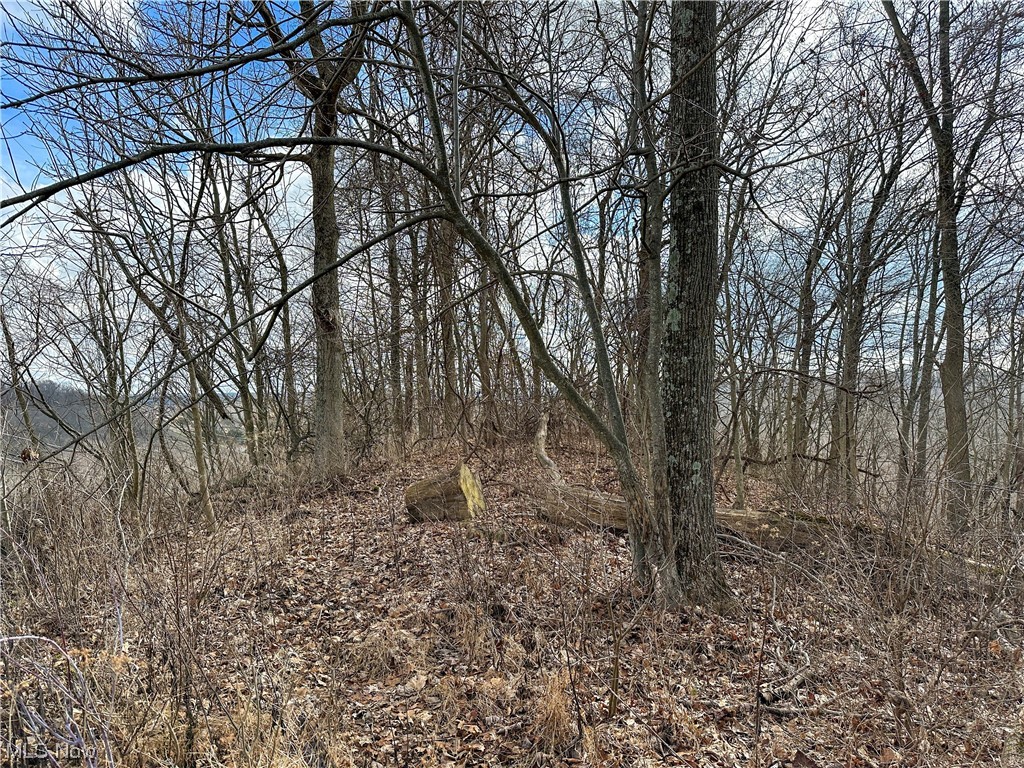 Bruner Miller SD - Land