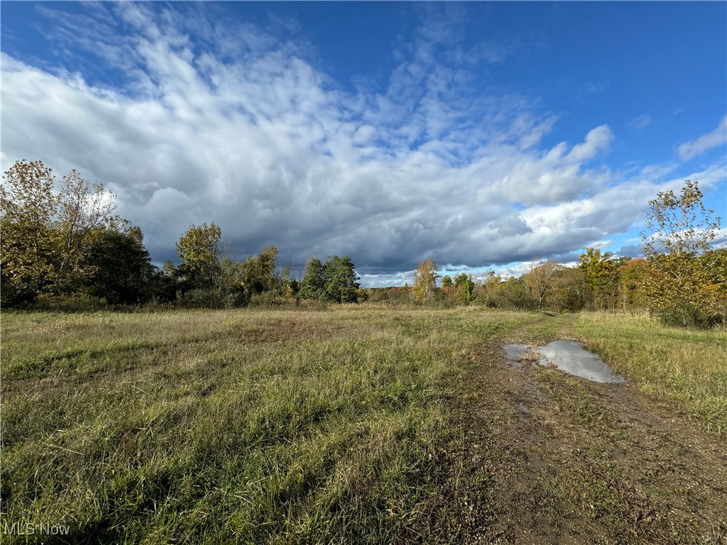 10656 Kinsman Road, Newbury, Ohio image 8