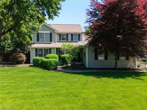 Homes For Sale - 4187 Shenandoah Parkway<br/> Medina County, Brunswick, OH 44212