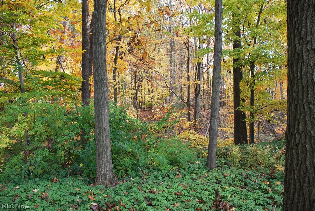 Sand Run Village - Residential