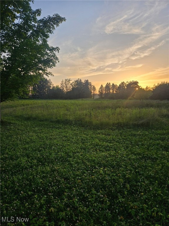 Hanoverton, Ohio 44423, United States, ,Land,Active,160981 Hanoverton, Ohio 44423, United States, ,Land,Active,160981