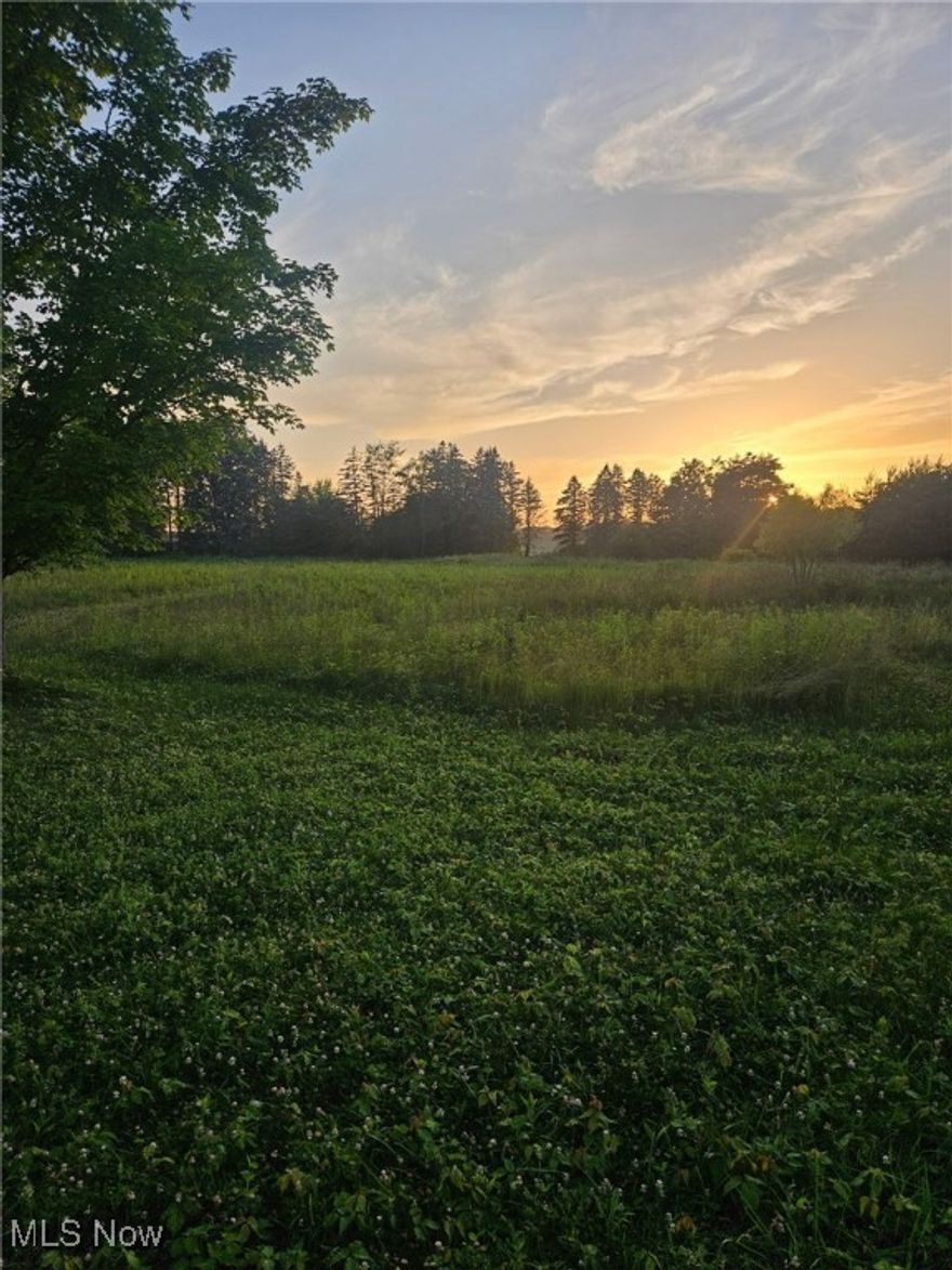 Your ideal home site awaits! This generous lot of just over 8 acres features beautiful, level grassy land, providing an expansive canvas for your vision, complemented by a secluded wooded corner that offers natural privacy and a picturesque setting. Whether you envision a spacious garden, a custom-built home, or simply a tranquil retreat, the possibilities are endless. Enjoy the best of both worlds- a sprawling lawn for gatherings and a peaceful, treed escape!