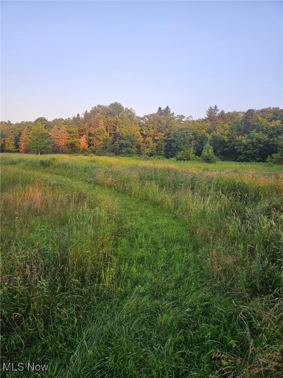 Hanoverton, Ohio 44423, United States, ,Land,Active,160981