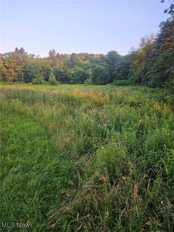 Hanoverton, Ohio 44423, United States, ,Land,Active,160981