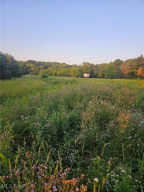 Hanoverton, Ohio 44423, United States, ,Land,Active,160981