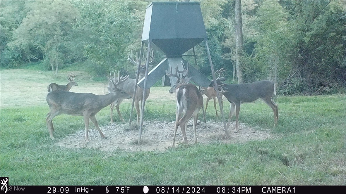 13011 Claysville Rd Rd, New Concord, Ohio image 47