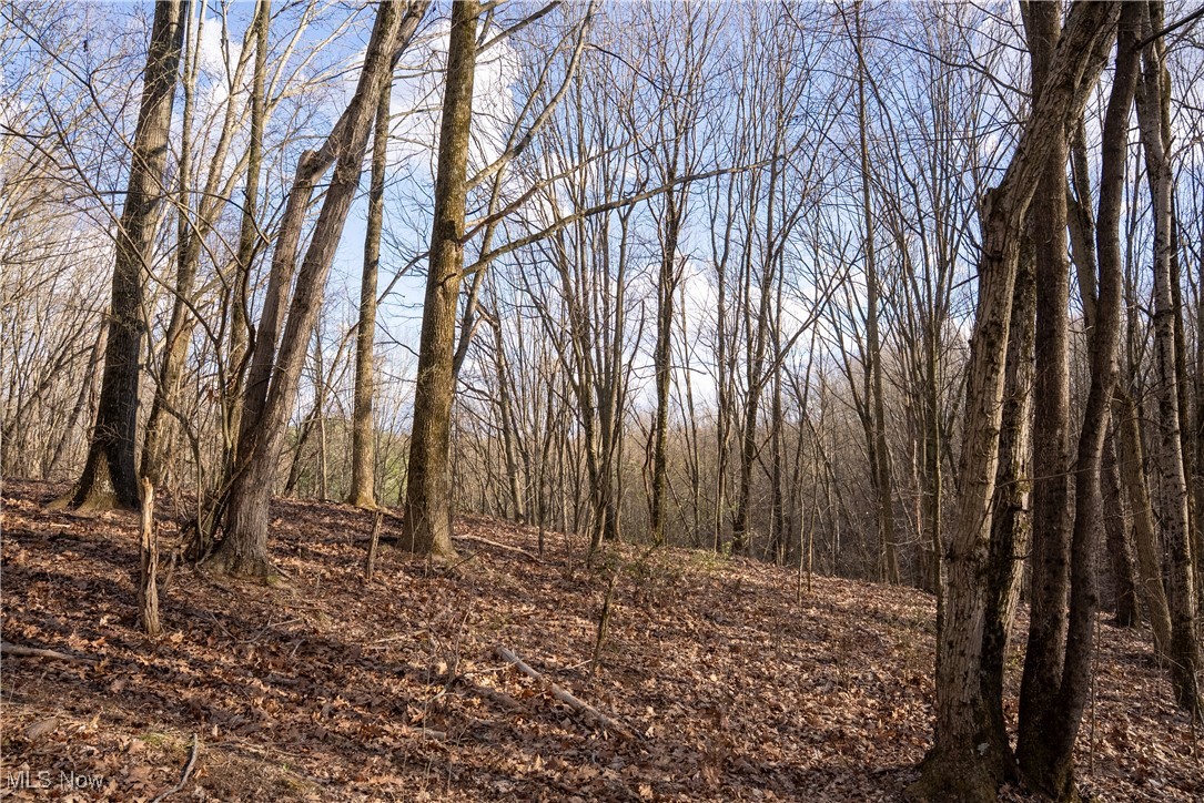13011 Claysville Rd Rd, New Concord, Ohio image 39