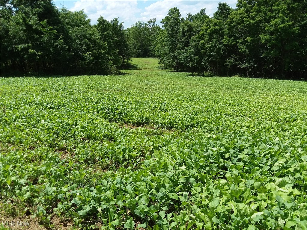 13011 Claysville Rd Rd, New Concord, Ohio image 35