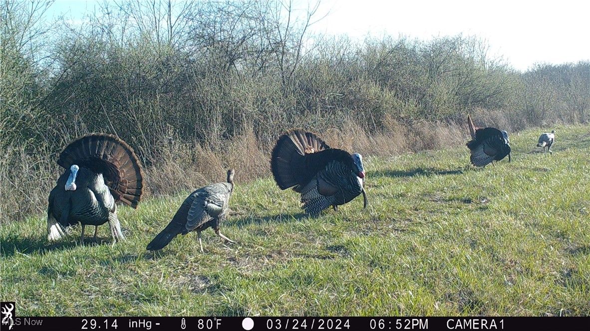 13011 Claysville Rd Rd, New Concord, Ohio image 49