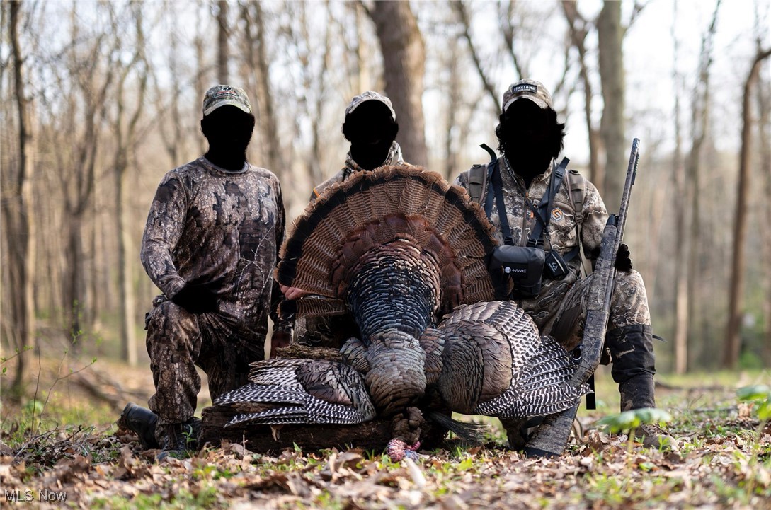 13011 Claysville Rd Rd, New Concord, Ohio image 43