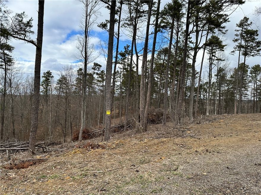 Looking for that elusive property in a rural setting yet minutes from town? This beautiful property is part of a larger parcel located on a quiet township road with access to city water and electricity. You will be minutes away from Warren Schools, historic Marietta, Parkersburg, West Virginia, and the Ohio River. Take your pick from seven lots each 5+/- acres. This listing is Tract 1 of 8 (Tract 3 is sold). Acreage is approximate and is subject to a final survey.