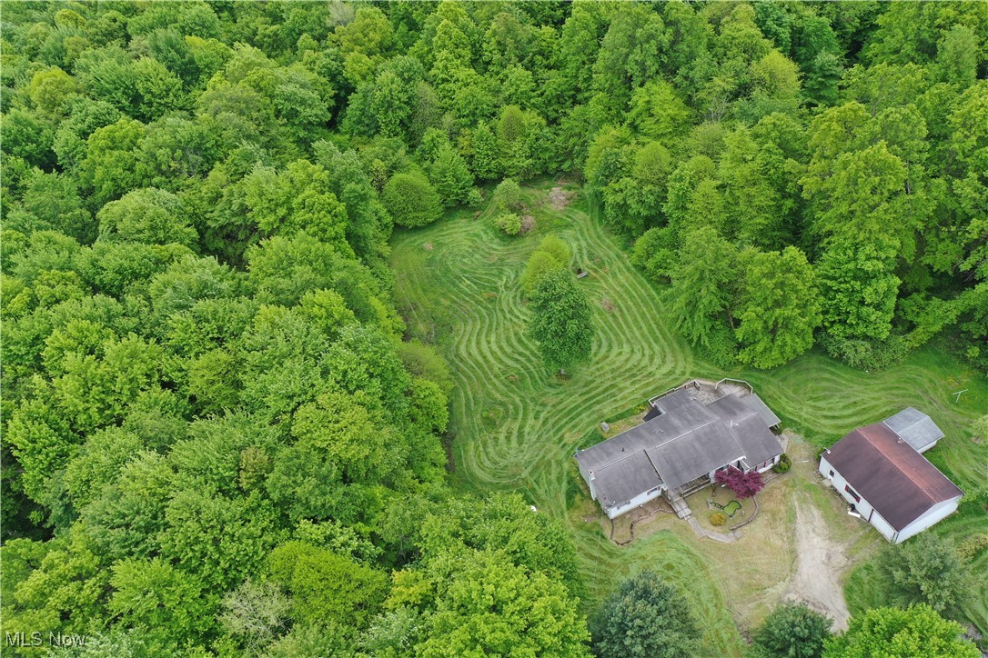 7544 Stoddard Hayes Road, Farmdale, Ohio image 25