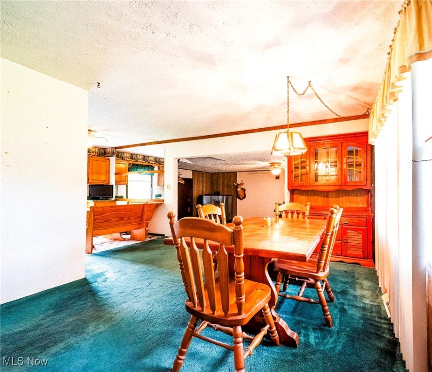 7544 Stoddard Hayes Road, Farmdale, Ohio image 6