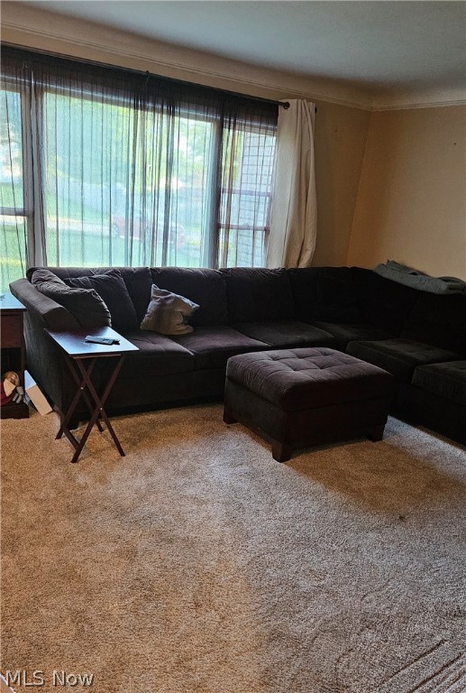 Bedford - Residential