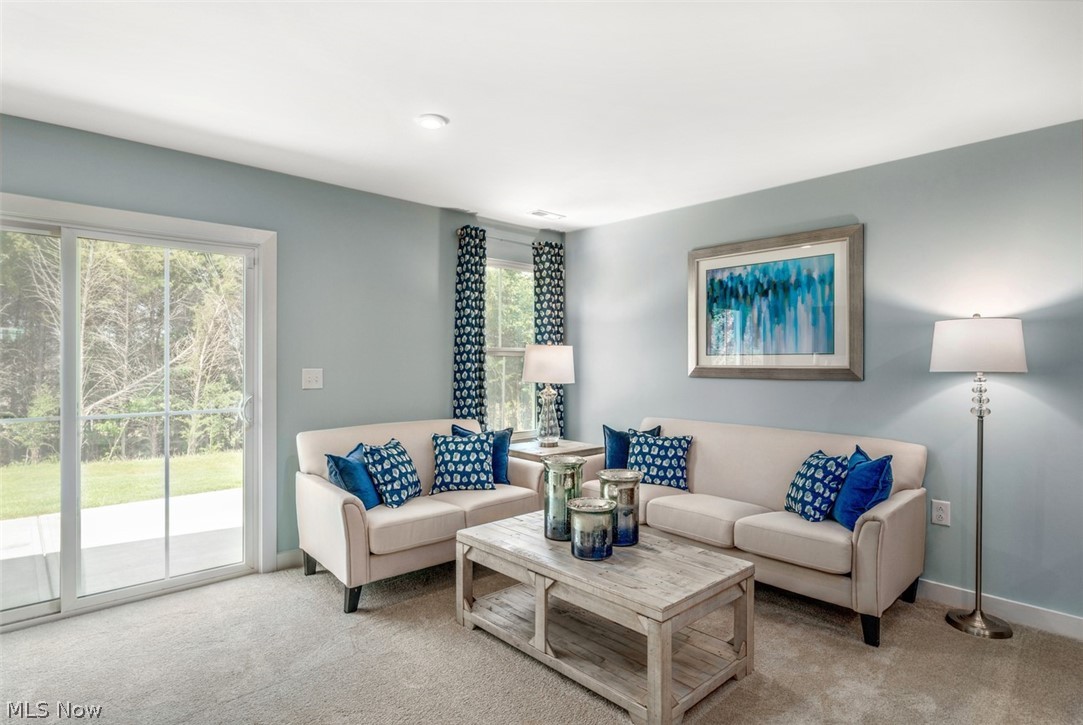 Villas of Meadow View - Residential