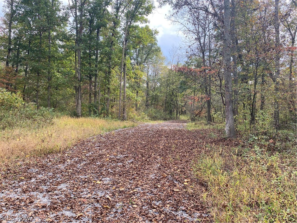 Hunters Delight! 33.7 acres wooded lot. Seller installed new driveway. Gas and Mineral rights are negotiable.